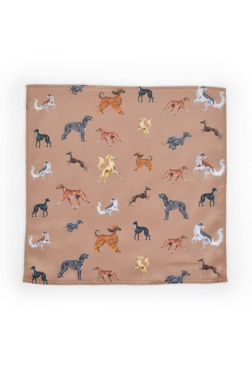 poszetka_karmel_charty