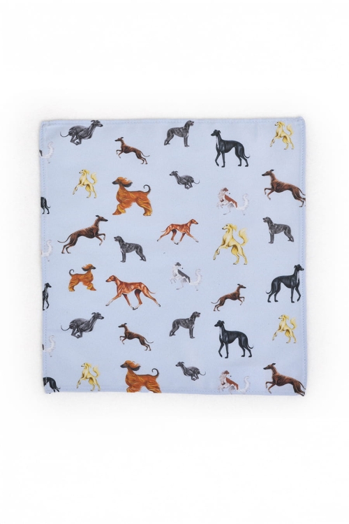 loani_meskie_poszetki_charty