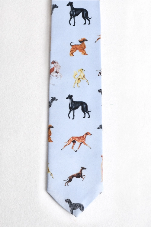 loani_krawat_w_psy_blekit