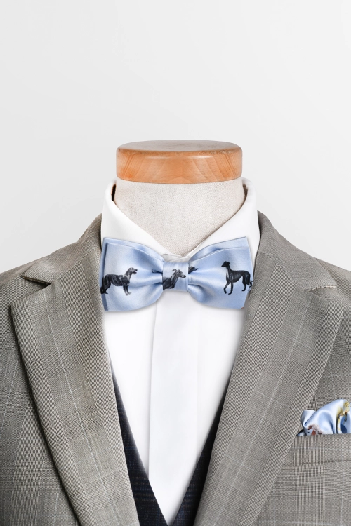 charty_muszka_blekit