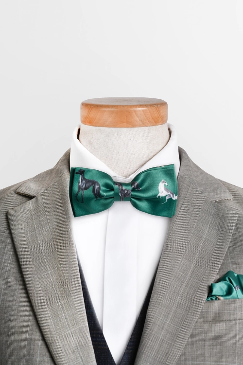 loani_muszka_zielona_charty