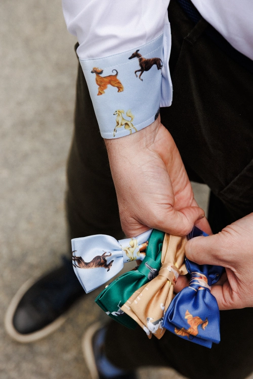 muszki_loani_w_charty