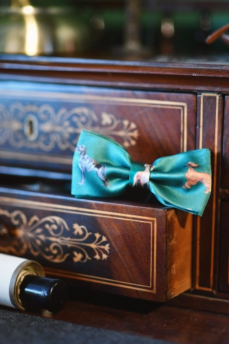 muszka_zielona_w_charty