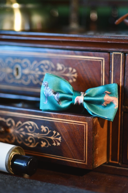 muszka_zielona_w_charty