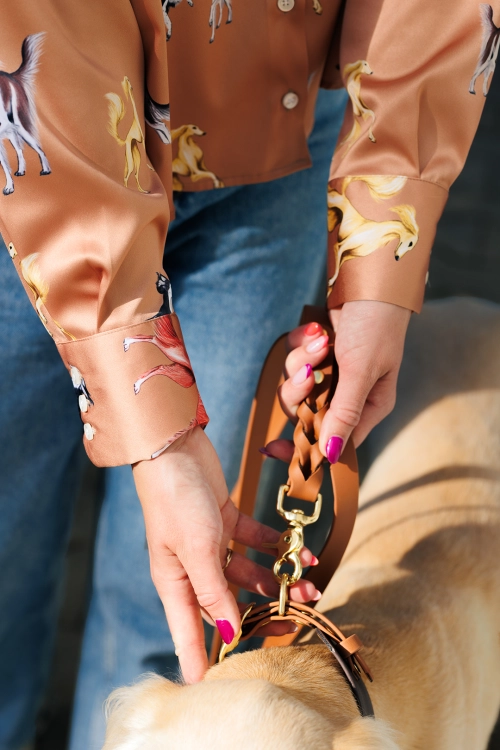 koszula_dlaniej_saluki_charty