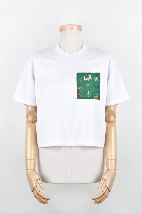 T-shirt_bialy_zielona_kieszonka_w _charty