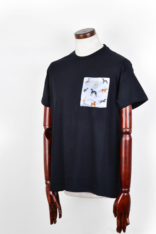 t_shirt_czarny_charty_blekit