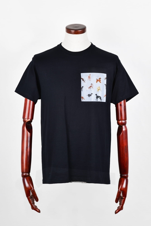 t_shirt_czarny_charty_blekitny