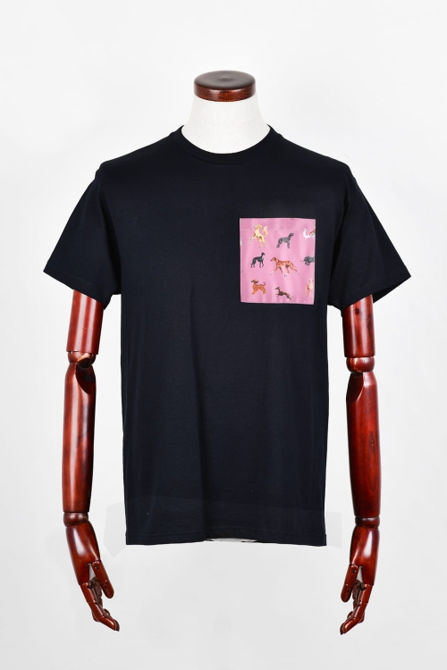 t_shirt_czarny_charty_roz