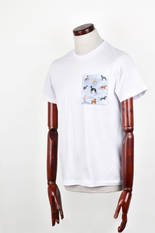 t_shirt_bialy_charty_blekit