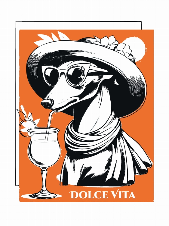 plakat_dolce_vita_loani