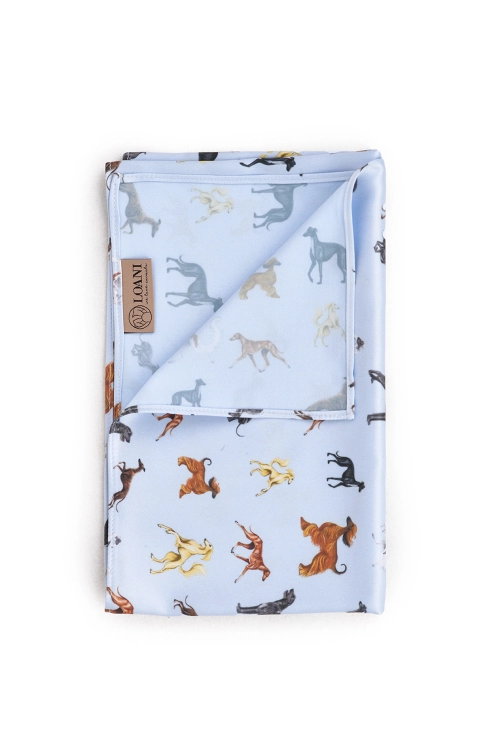 loani_apaszka_blekit_charty