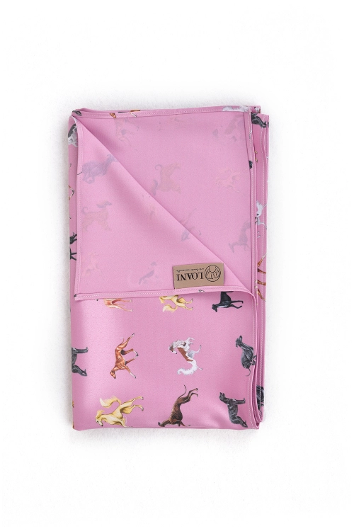 loani_apaszka_roz_charty