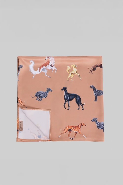 loani_apaszka_karmel_chartyv