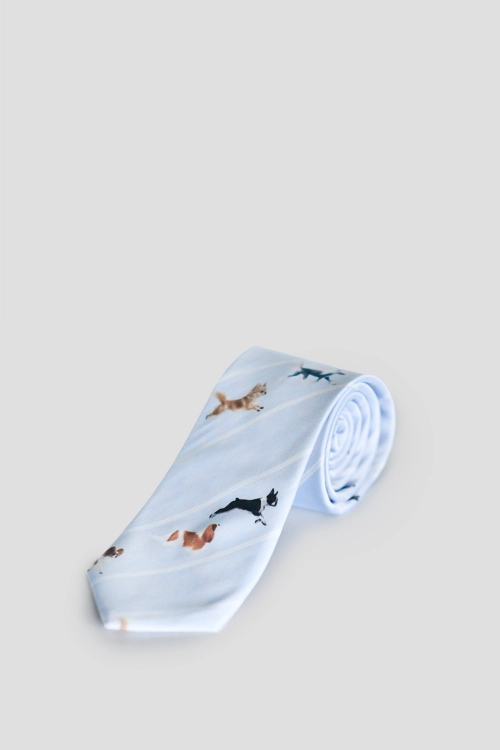 loani_krawat_blekitny_psy