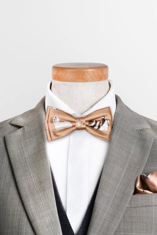 loani_muszki_toy_dogs_karmel