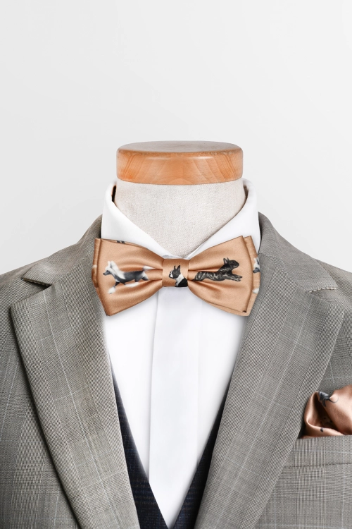 loani_muszki_toy_dogs_karmel