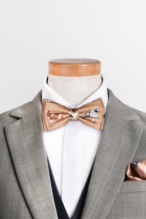 loani_muszki_toy_dogs_karmel