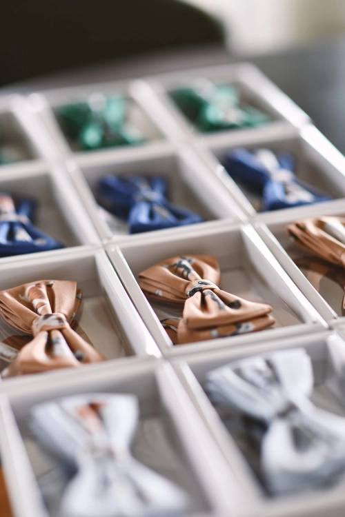 loani_muszki_toy_dogs_karmel