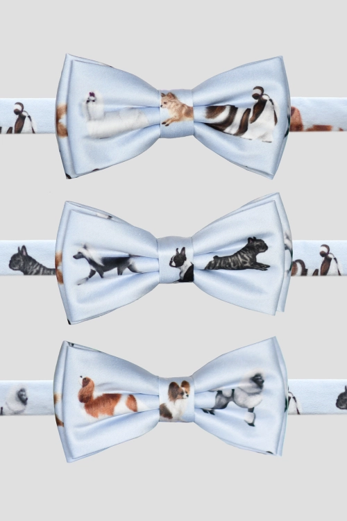 loani_muszki_dog_blekit