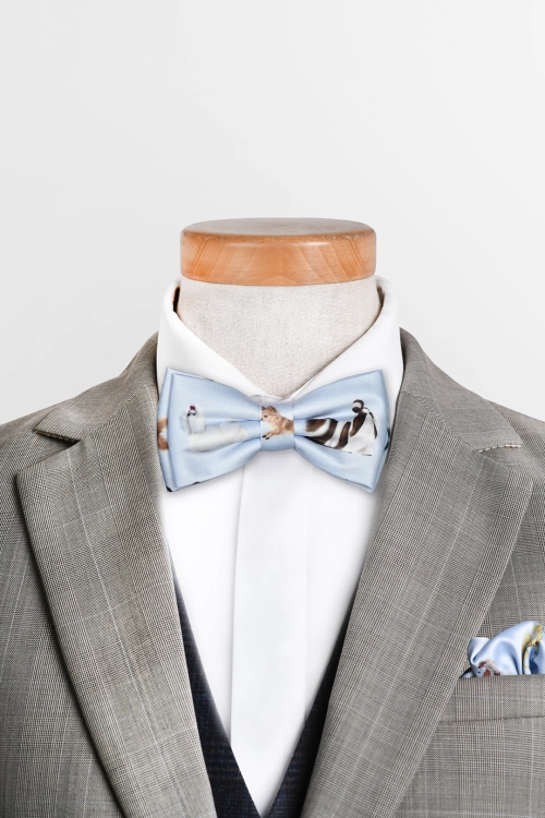 loani_muszki_dog_blekit