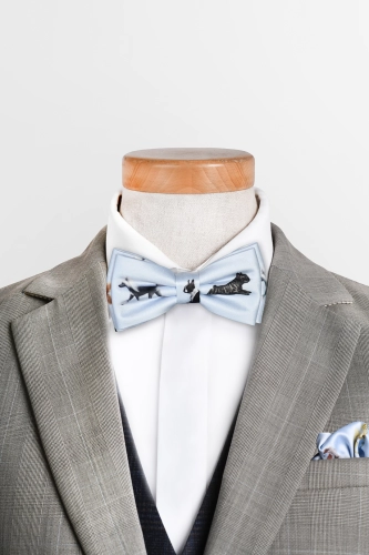 loani_muszki_dog_blekit