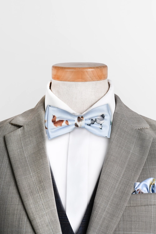 loani_muszki_dog_blekit