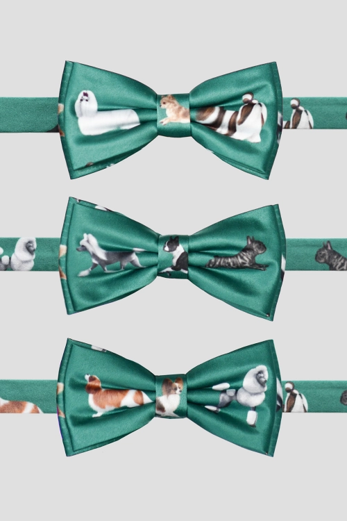 loani_muszki_toy_zielen