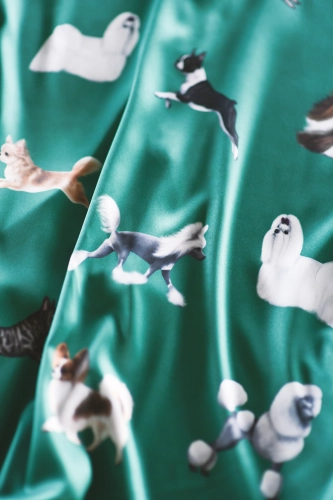 koszula_zielona_toy_dogs_loani